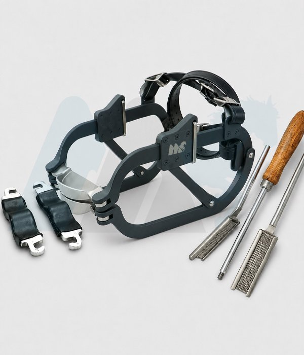 Equine Dantistry Tools