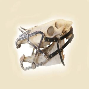 Premium Millennium Speculum