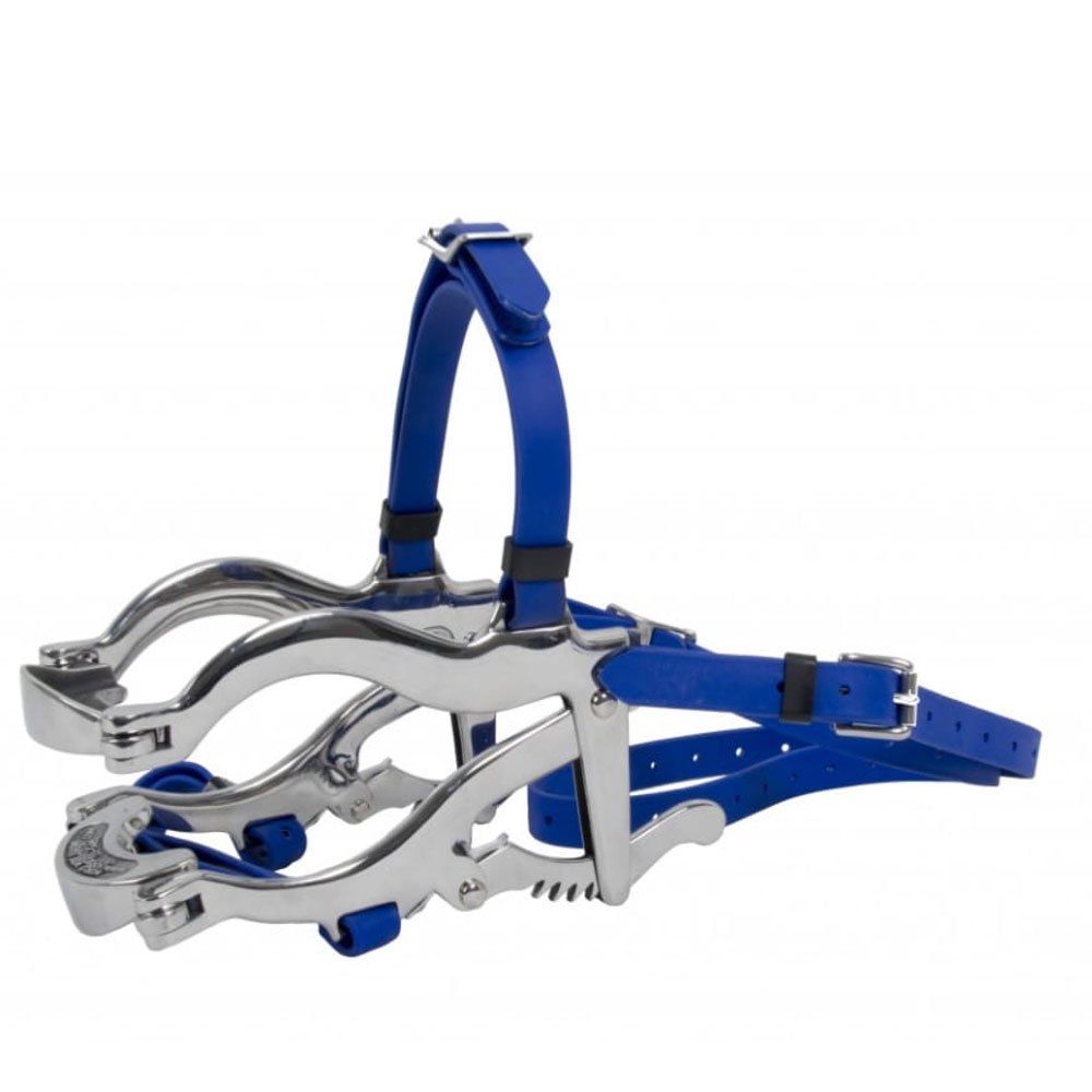 Standard Speculum