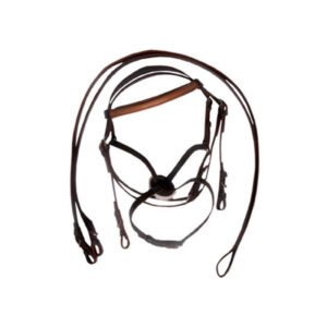 BRIDLE