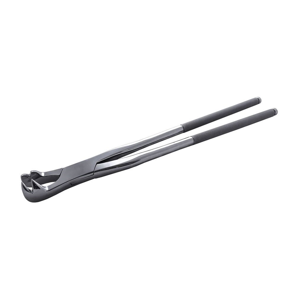 4-Prong Extraction Forceps, 19″ Length