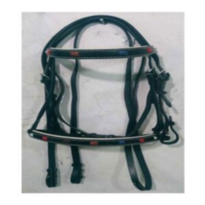BRIDLE