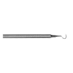 Explorer or Shepherd’s Hook