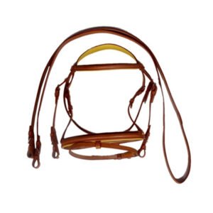 BRIDLE