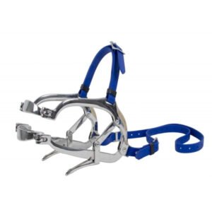 Millennium Speculum