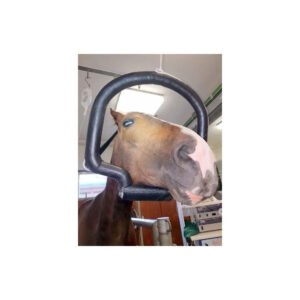 Dental-Halter with flat chin pad, covered with leather