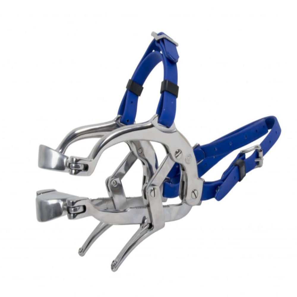 Pony Millennium Speculum