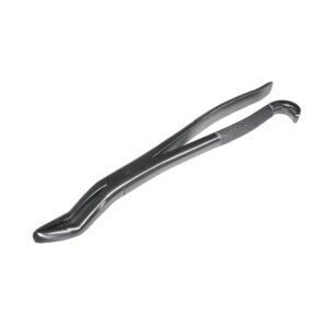 Wolf Teeth Forceps Large